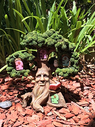Fairy Garden Enchanted Joshua's Miniature Tree