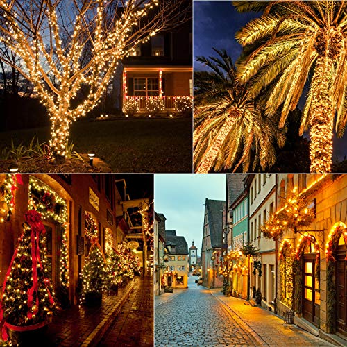 LED Christmas Mini Lights