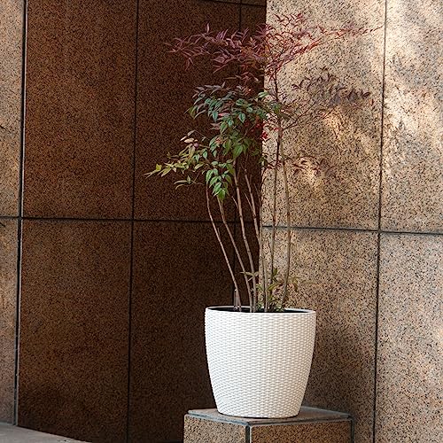 15x14 Self Watering Planter with Wheels