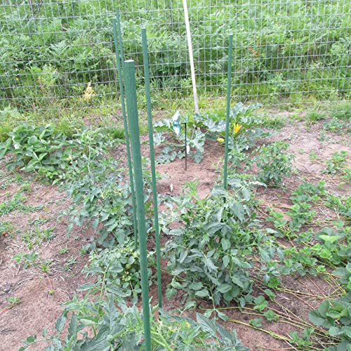 Garden Plant Stakes (25 Count)