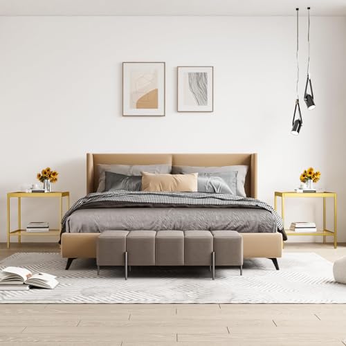 2 Tier Square End Table Side Table with Tempered Glass Top and Gold Metal Frame Modern Night Stand for Small Spaces Side Table with Storage for Living Room Bedroom (Gold / Style 1)