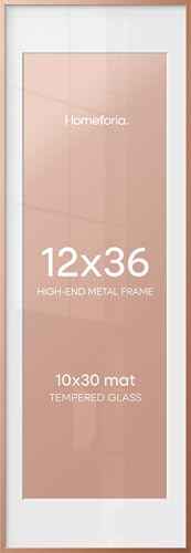 12x36 Rose Picture Frame