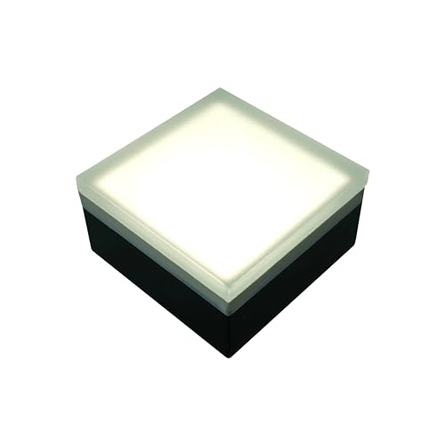 Paver Light 4x4 Inch