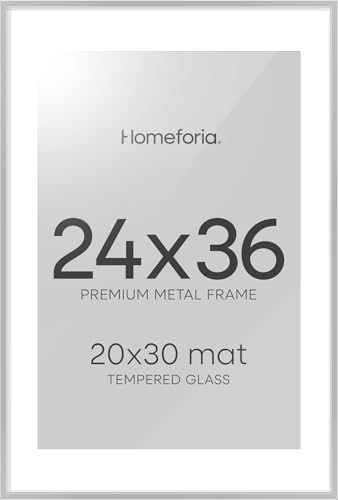 24x36 Silver Poster Frame (2 Count)