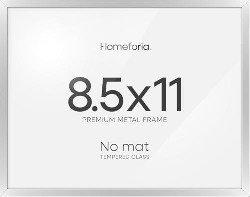 8.5x11 Silver Diploma Frame (3 Count)
