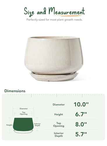 Ceramic Planter