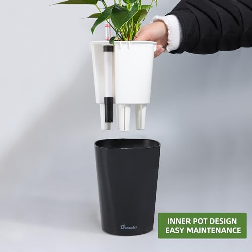 6x7 Self Watering Planter