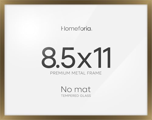 8.5x11 Bronze Diploma Frame (2 Count)