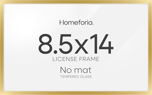 8.5x14 Gold Marriage License Frame (2 Count)