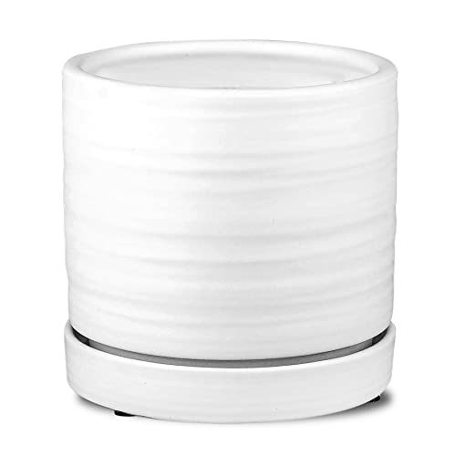 6 Inch Plant Pots
