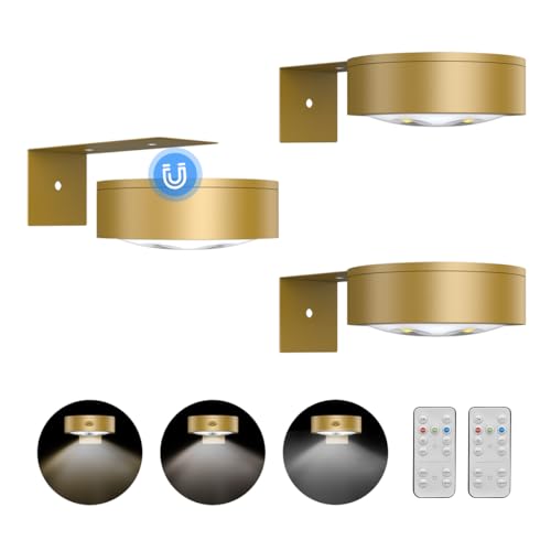 3Pack Picture Light Battery Operated Painting Lights for Wall Wireless Magnetic Display Art Light with Remote Control (3 Count)