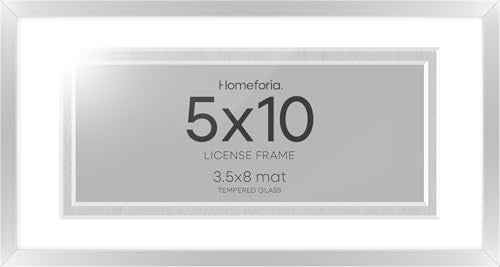 5x10 Silver License Frame