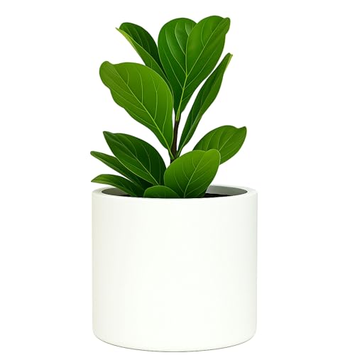 Large Planter for Indoor or Outdoor