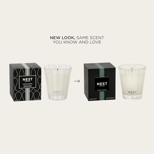 Scented Classic Candle (8.1 Ounce)