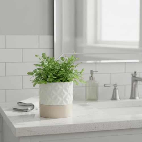 Self Watering Ceramic Plant Pot