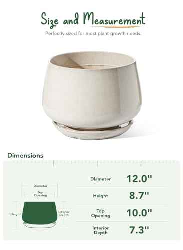 Ceramic Planter
