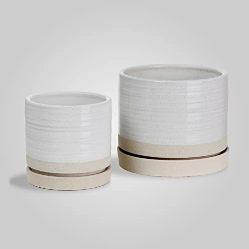 6 + 8 Inch Plant Pots
