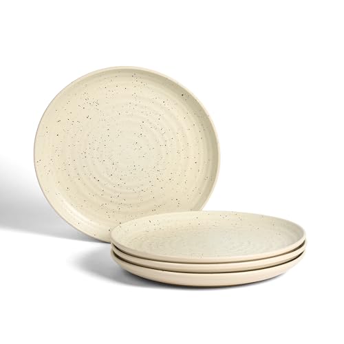 Dua 4 Piece Dinner Plate Set Stoneware (4 Count)