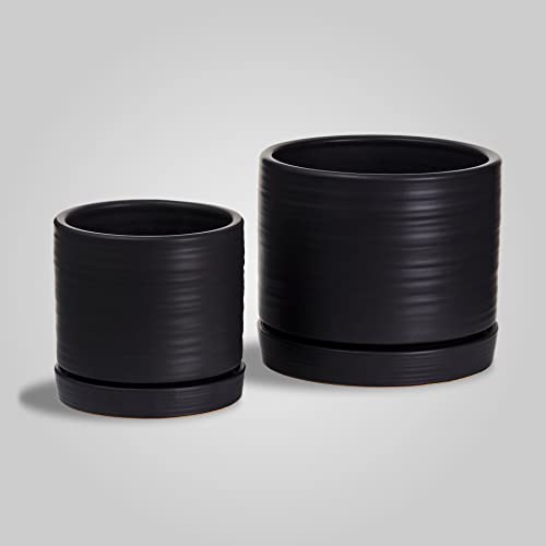 6 + 8 Inch Plant Pots