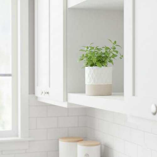 Self Watering Ceramic Plant Pot