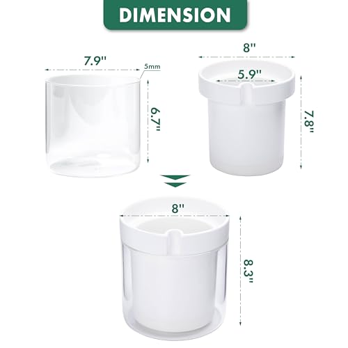 8 Inch Self Watering Planter