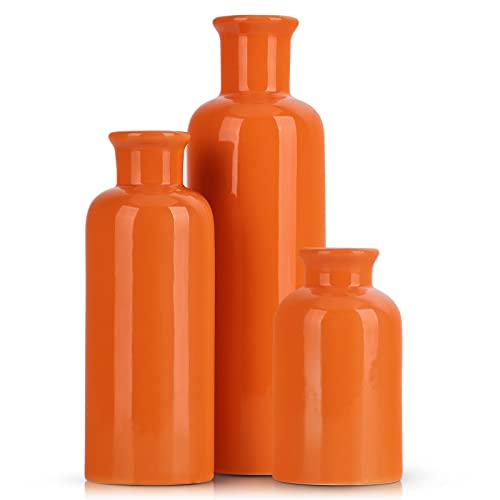 Ceramic Vase Set (3 Glossy finish)