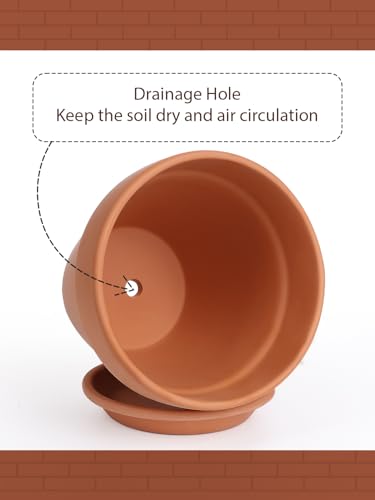 12 Inch Terracotta Pot with Saucer