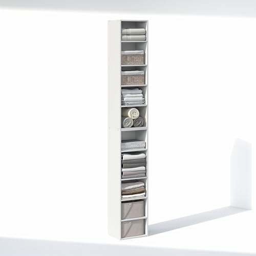 PASIR 10 Tier Closet Organizers and Storage