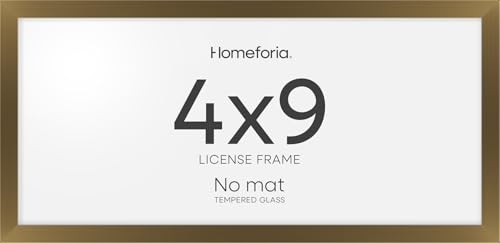 4x9 Bronze Business License Frame (2 Count)