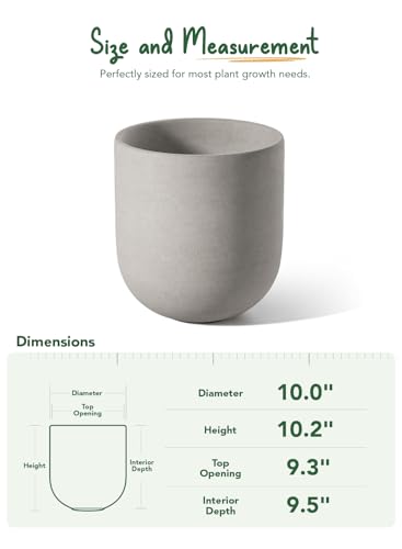 10 Inch Plant Pot