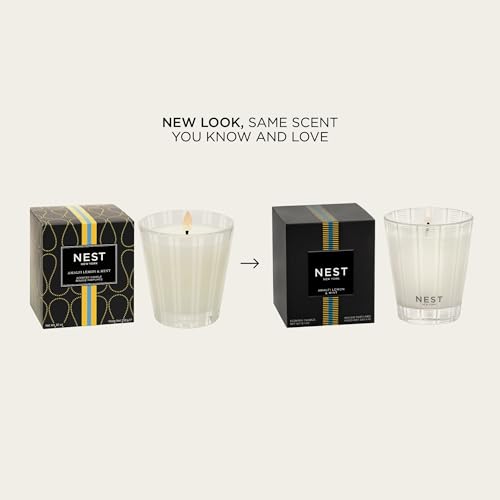 Scented Classic Candle (8.1 Ounce)