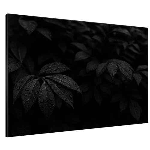 60"x72" Extra Large Framed Wall Art Black and White Botanical Leaves with Raindrops for Home Living Room Bedroom Decor