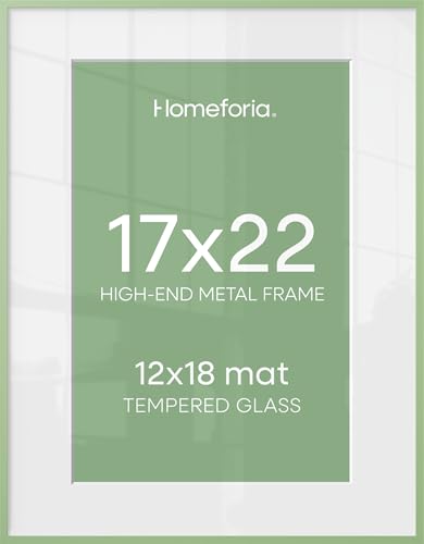 17x22 Green Picture Frame (2 Count)