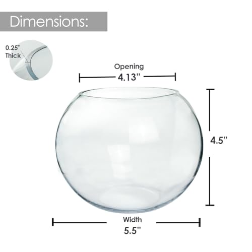 Glass Bubble Vase