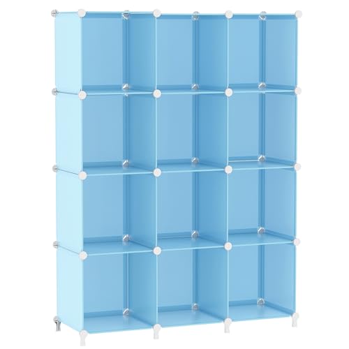 12 Cube Storage Organizer