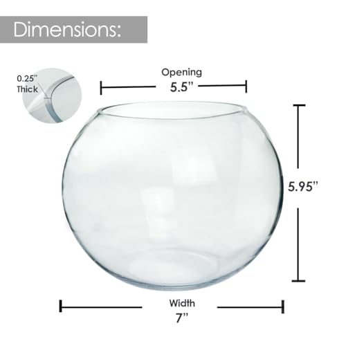 Glass Bubble Vase (4 Count)