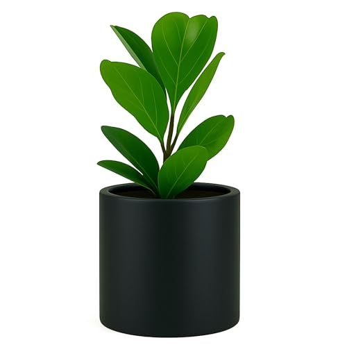 Large Planter for Indoor or Outdoor