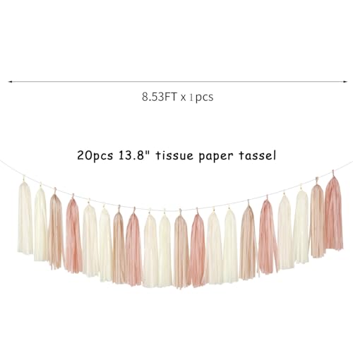 Champagne Gold Beige Boho Party (20 Count)