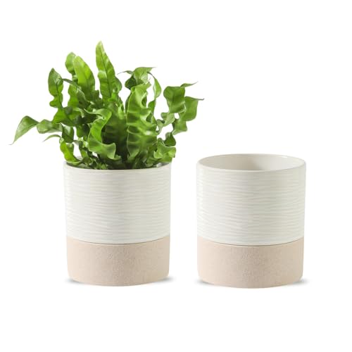 Ceramic Self Watering Plant Pot for Indoor Plants (2 Count)