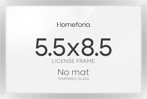 5.5x8.5 Silver Business License Frame (3 Count)