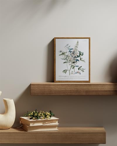 Framed Botanical Wall Art Herb Canvas Prints