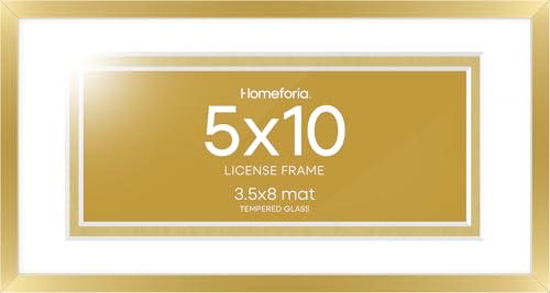 5x10 Gold License Frame