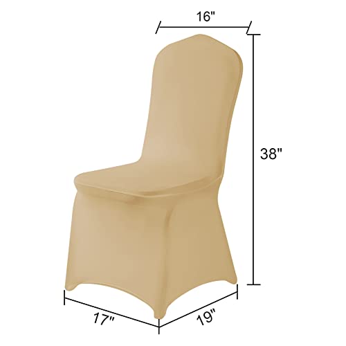 Spandex Chair Covers (25 Count)