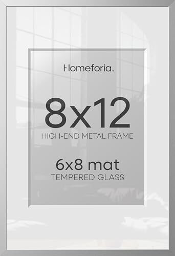 8x12 Silver Picture Frame (2 Count)