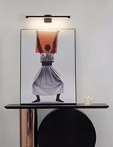 LED Picture Light Modern Black Art Display Light Artwork Display Light for Paintings 14W