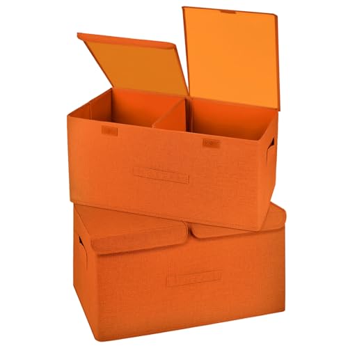 2 Pack Storage Boxes with Lids and Handles (2 Count)
