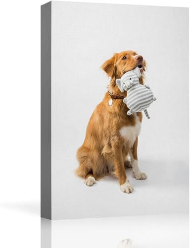 Custom Canvas Prints with Your Photos for Pet