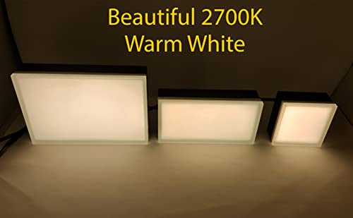 Paver Light 3x9 Inch