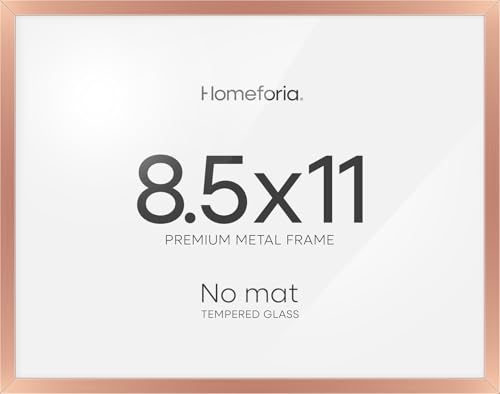 8.5x11 Rose Diploma Frame (3 Count)