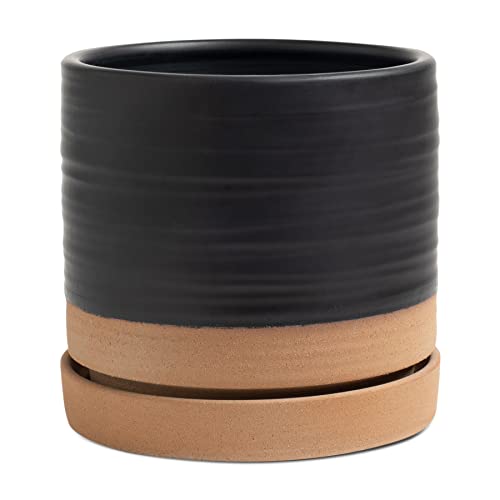 6 Inch Plant Pots
